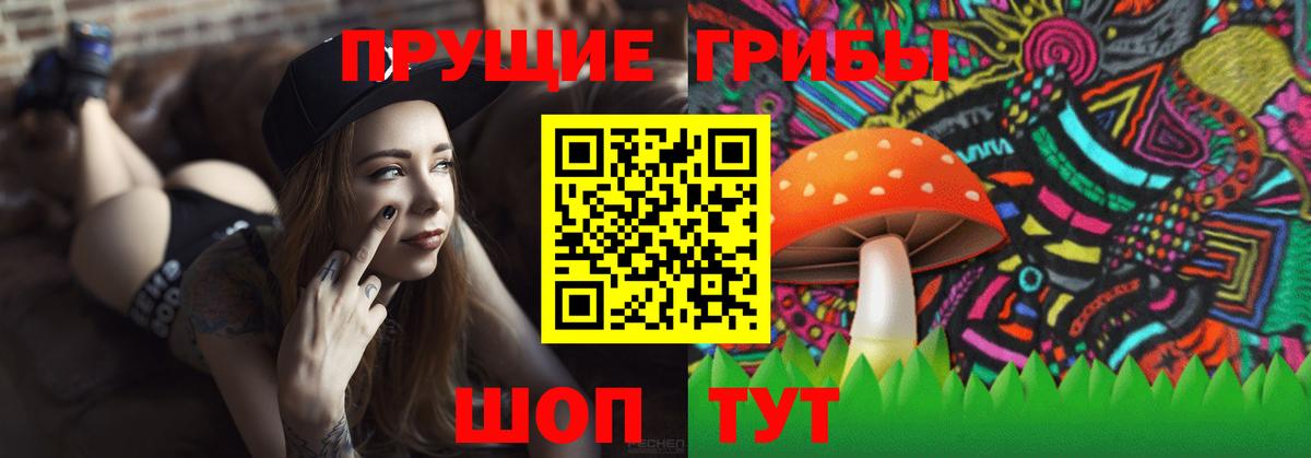 Тверь  Псилоцибиновые грибы Psilocybine cubensis  Вход с VPN 